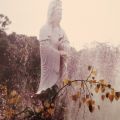 Compressed Liturgy: From Purification to Refuge on the Fo Guangshan 0302 Cassette