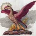 Shared Responsibilities In The Process of Soul Development
