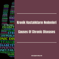 Causes Of Chronic Diseases