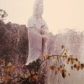 Compressed Liturgy: From Purification to Refuge on the Fo Guangshan 0302 Cassette