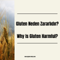 Why Is Gluten Harmful?