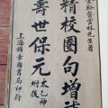 The ‘Taiyi Shen Zhen’ as a Palimpsest: Stratification, Technology, and Domestication in a 1911 Medical Lithograph