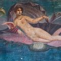 The Night Watch of Venus