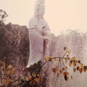 Compressed Liturgy: From Purification to Refuge on the Fo Guangshan 0302 Cassette