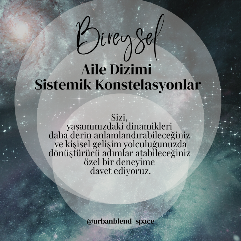 Bireysel Aile Dizimi / Sistemik Konstelasyon Seansları